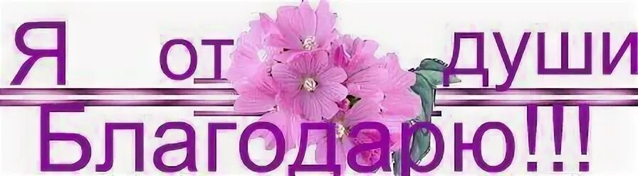 Благодарю за ссылку