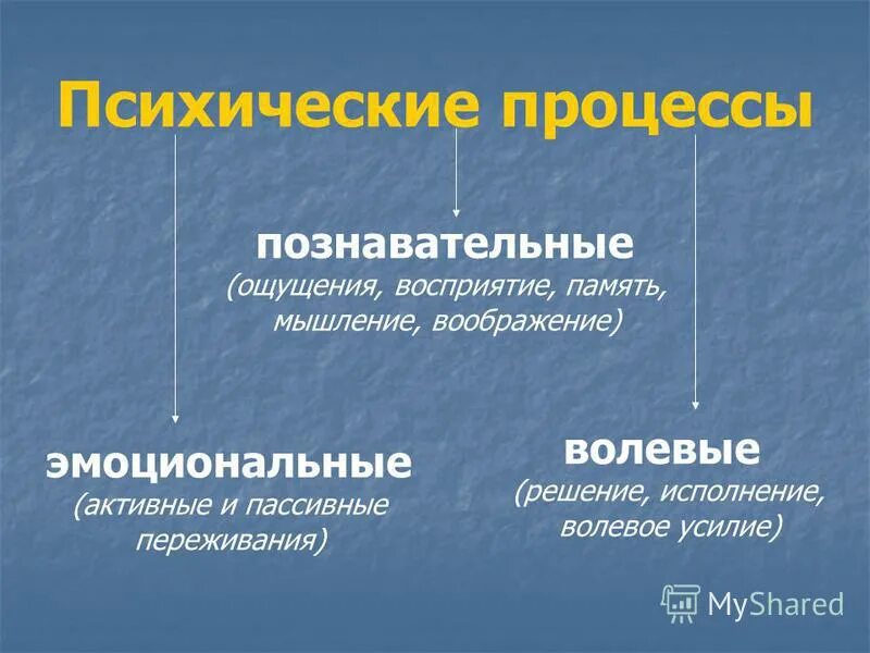 Восприятие память воображение мышление это. Восприятие память воображение мышление это