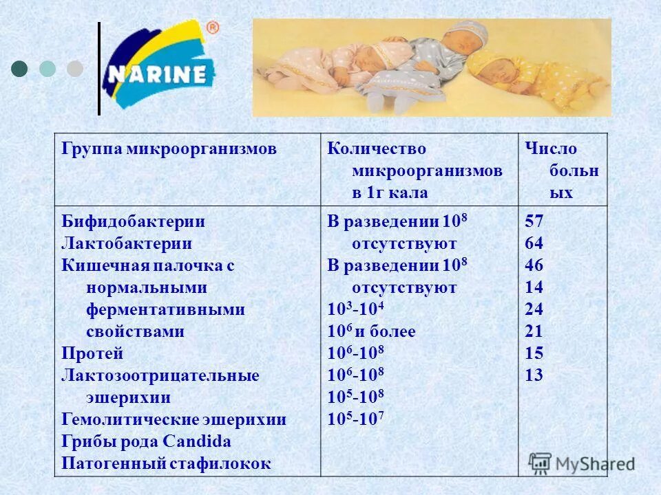 Лактобактерии содержатся в продуктах. Продукты с продиотиком. Пробиотики для кишечника натуральные продукты. Пробиотики. Лактобактерии содержатся в продуктах.