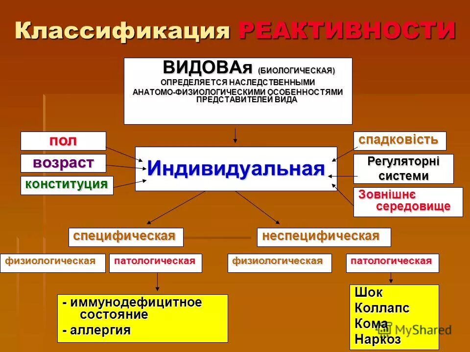 Классификация видов информации. Вещи в гражданском праве классификация. Критерии классификации преступлений. Классификация и ее значение. Классификация деловых бесед.