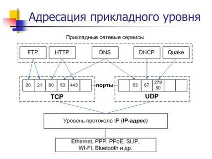 Адресация и протоколы передачи данных