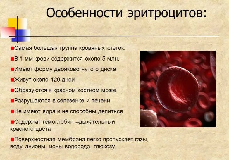 Повышенный объем эритроцитов в крови у мужчин. Повышенные эритроциты в крови причины. Повышение содержания эритроцитов в крови. Высокие эритроциты в крови. Эритроциты в крови повышены причины.