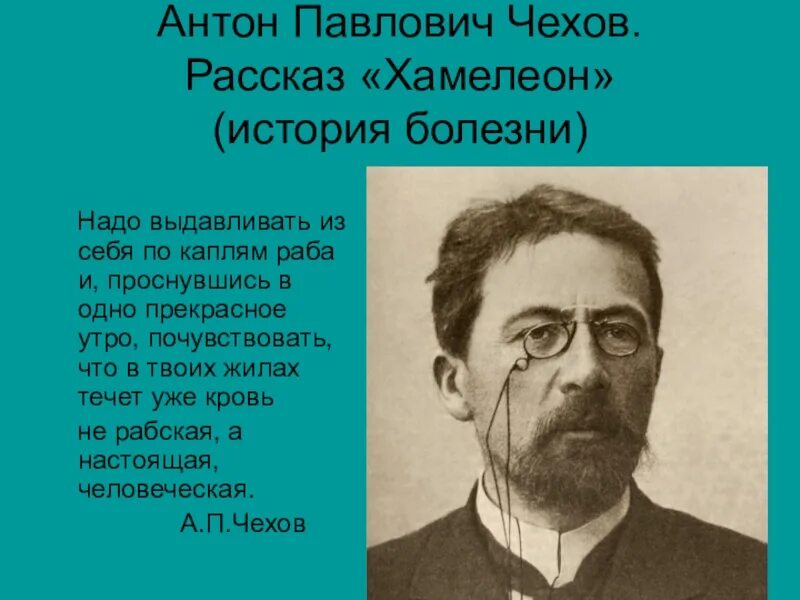 Старшего садовника чехов. Рассказ старшего садовника. Старшего садовника чехов. Чехов старший. Рассказ старшего садовника проблематика.