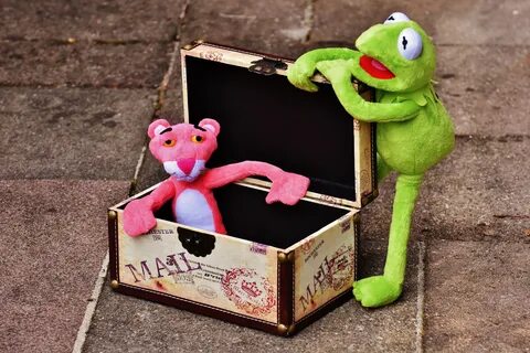 Hermit the frog