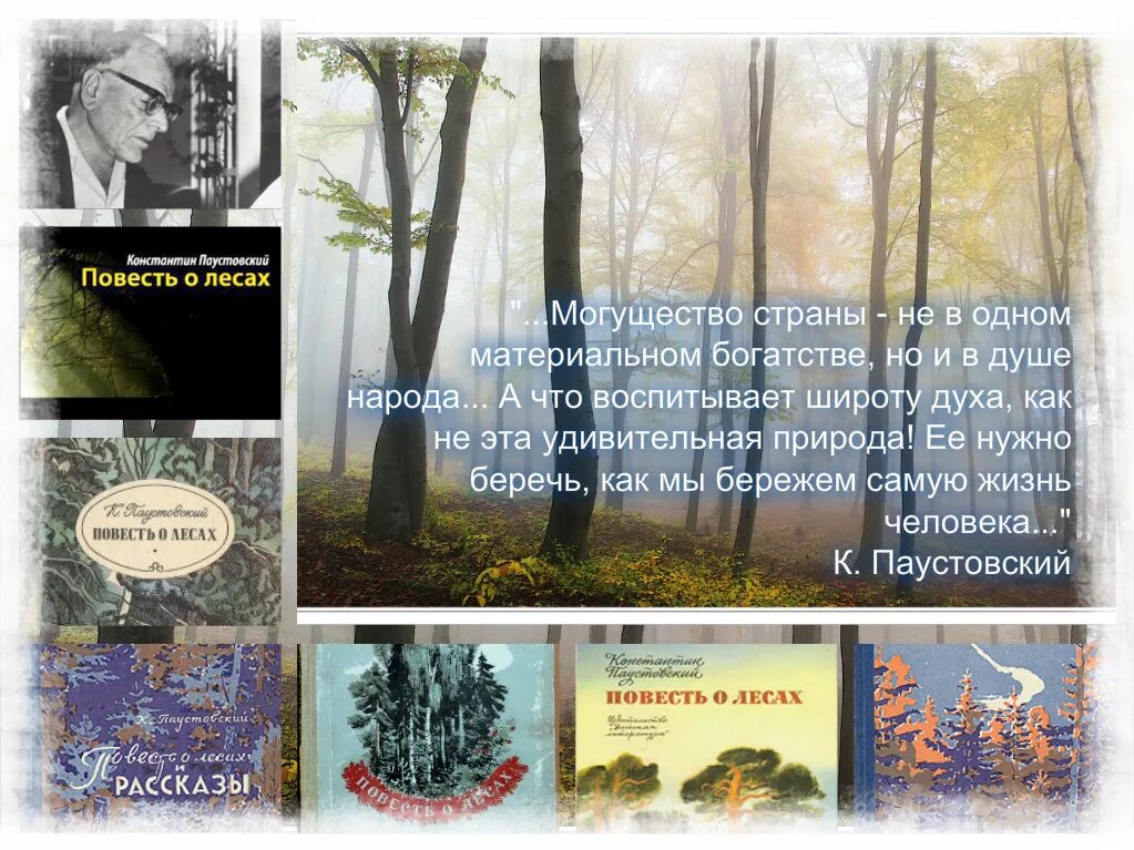 Произведение повесть о жизни. 31 Мая Паустовский. Паустовский книги о природе. Паустовский повесть о лесах. Паустовский книги коллаж.