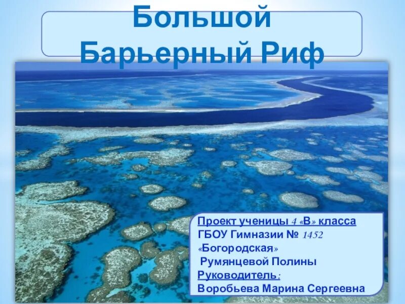 Большой барьерный риф проект Положительная связь между природой и счастьем Great barrier reef tours, Great ba