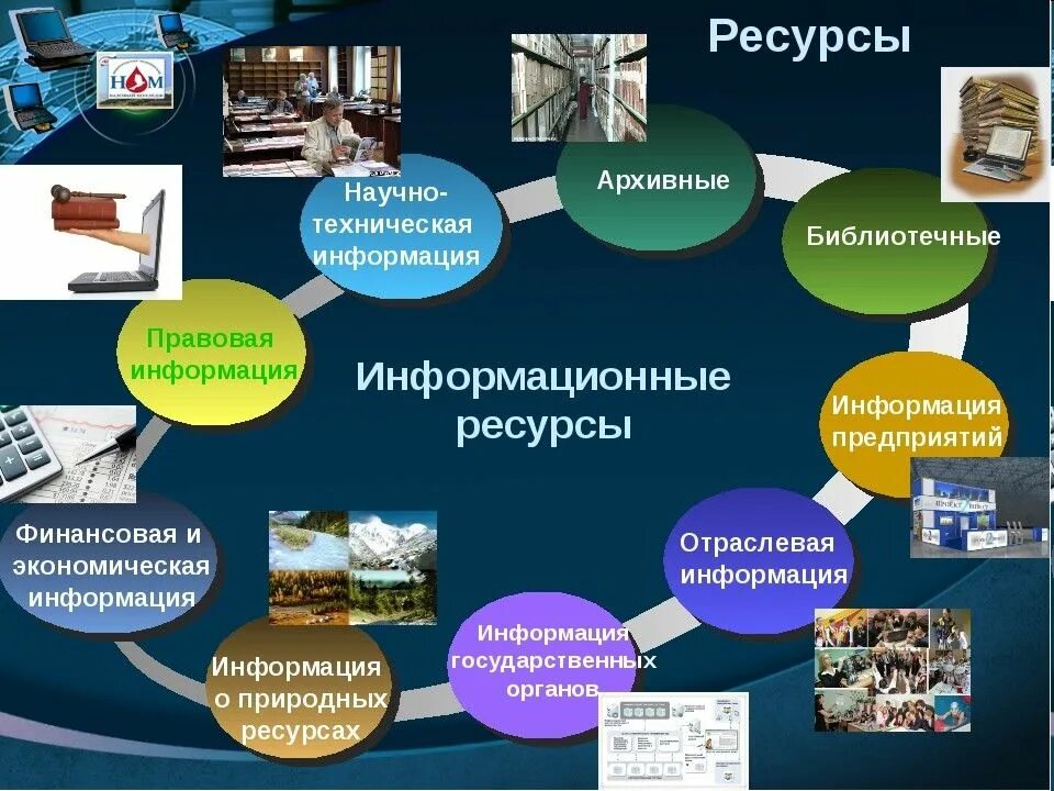 Сбор информации по теме проекта