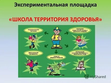 Проект по здоровью в школе