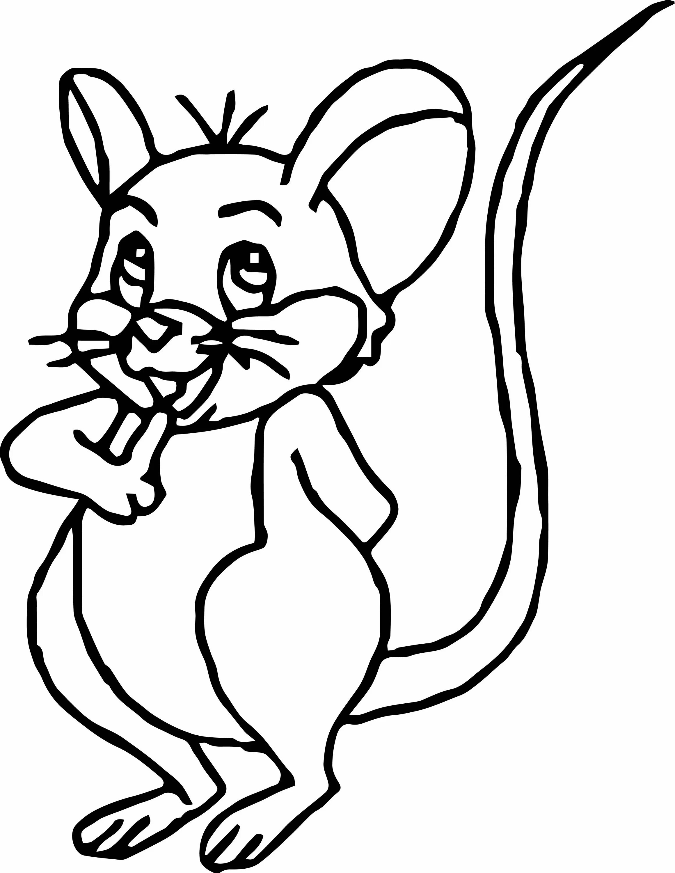 Раскраска мышка. Мышь раскраска для детей. Мышка раскраска для детей. Мышонок раскраска для детей. Раскраска мышь распечатать