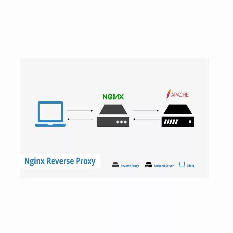 Реверс прокси nginx. Nginx обратный прокси. Nginx Apache. Nginx или Apache.