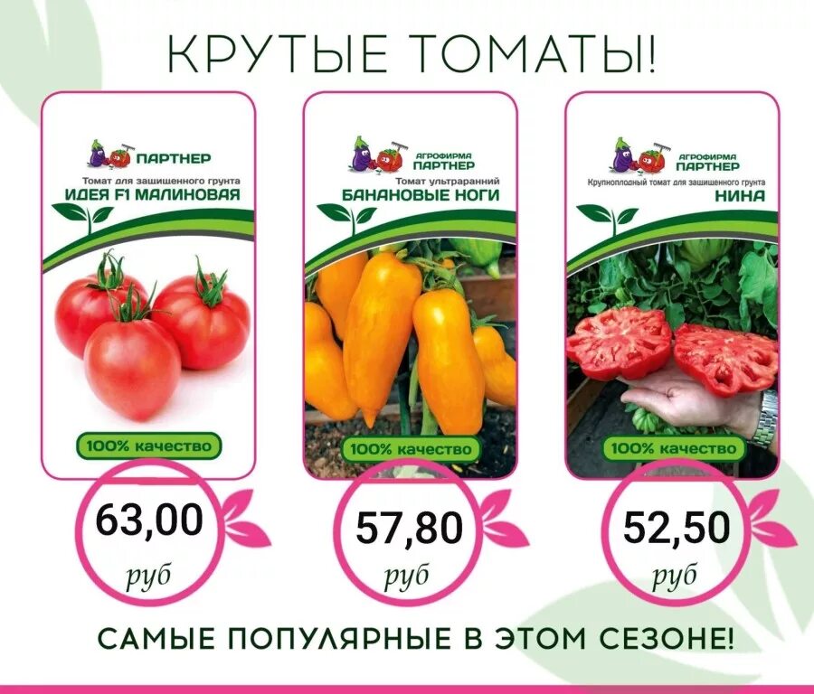Лучшие сорта томатов фирмы партнер. Семена томатов фирмы партнер. томаты фирмы партнер для открытого грунта низкорослые. миллениум помидоры партнер томат. софья томат f1 партнер.