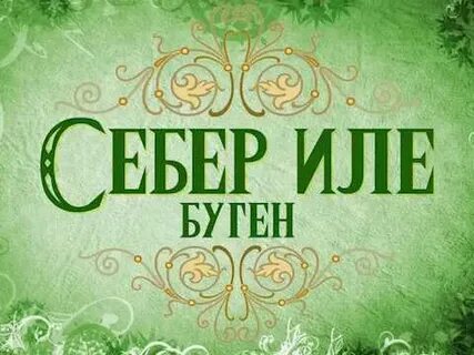 20 ел