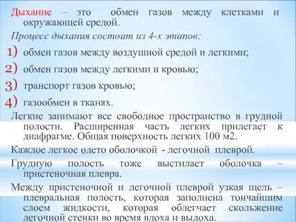 Газообмен между организмами и окружающей средой