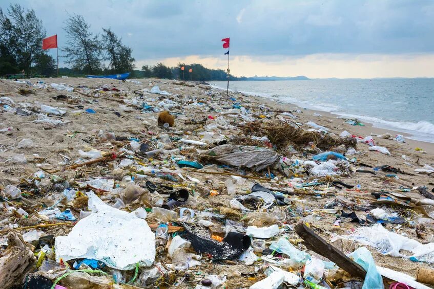Garbage wastes