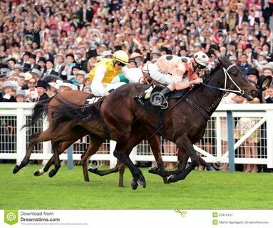 Ascot horse racing
