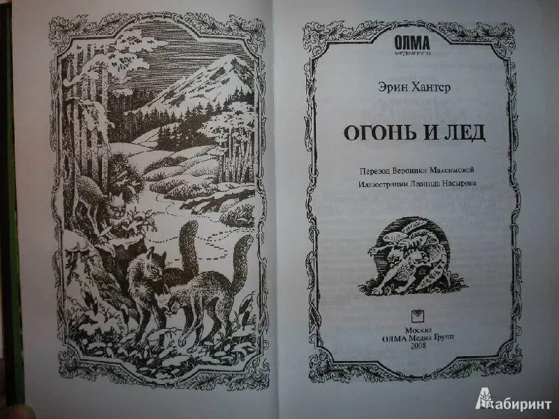 Коты Воители книга огонь и лед. Огонь и лёд книга. Хантер Эрин "огонь и лёд". Коты Воители огонь и лёд. Хантер огонь