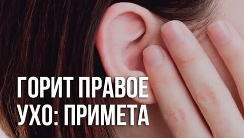 Правое ухо эзотерика