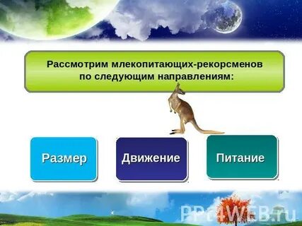 Туловище млекопитающих приподнято над землей