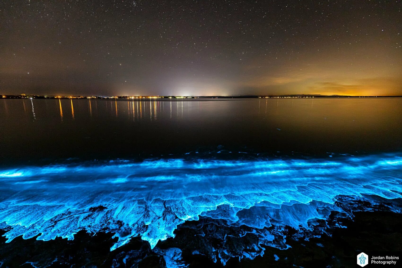 Планктон ночесветка. Пляж Ваадху Мальдивы. Водоросль ночесветка черное море. Мальдивы остров Ваадху море.