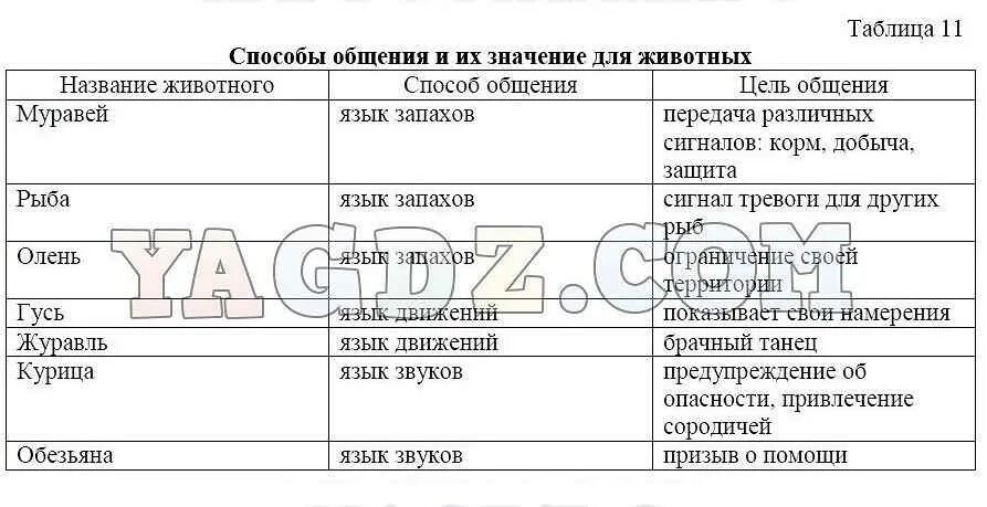Язык биологии 5. Гдз по биологии 5 класс рабочая тетрадь бодрова строение мха. таблица по биологии 7 класс животные бодрова. биология 5 класс предложения план своих действий.