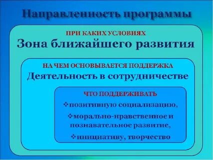Русский язык направленность программы