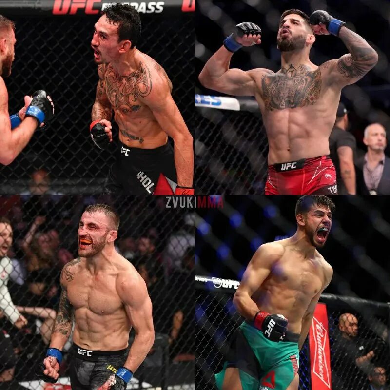 весовые ufc. весовые категории в ufc. наилегчайший вес в ufc. дивизион юфс легкий вес. жозе альдо взвешивание.