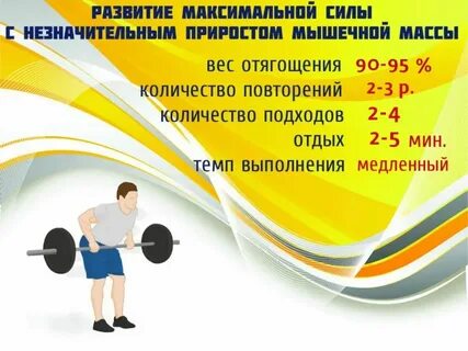 Количество упражнений на группу мышц