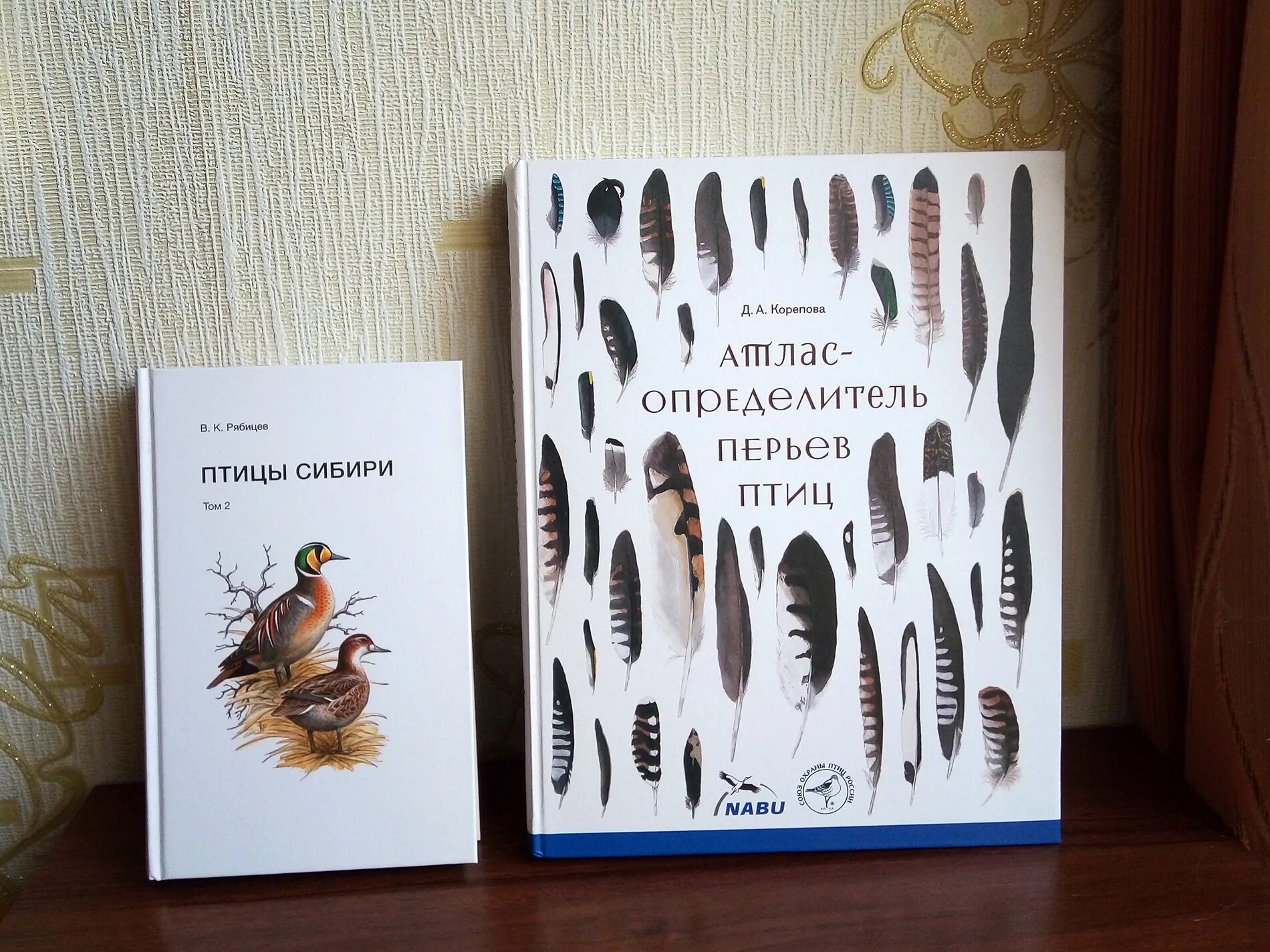 Определитель рисунка