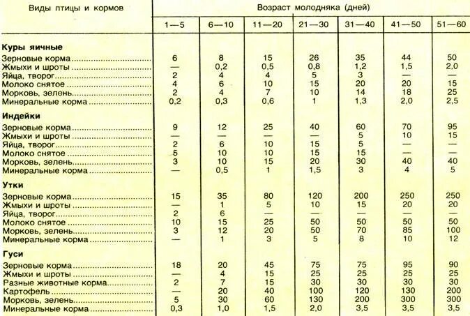 Сколько нужно дать курам. Таблица рациона кормления кур несушек. Нормы кормления кур несушек таблица. Суточные нормы кормления кур несушек. Нормы кормления сельскохозяйственной птицы.