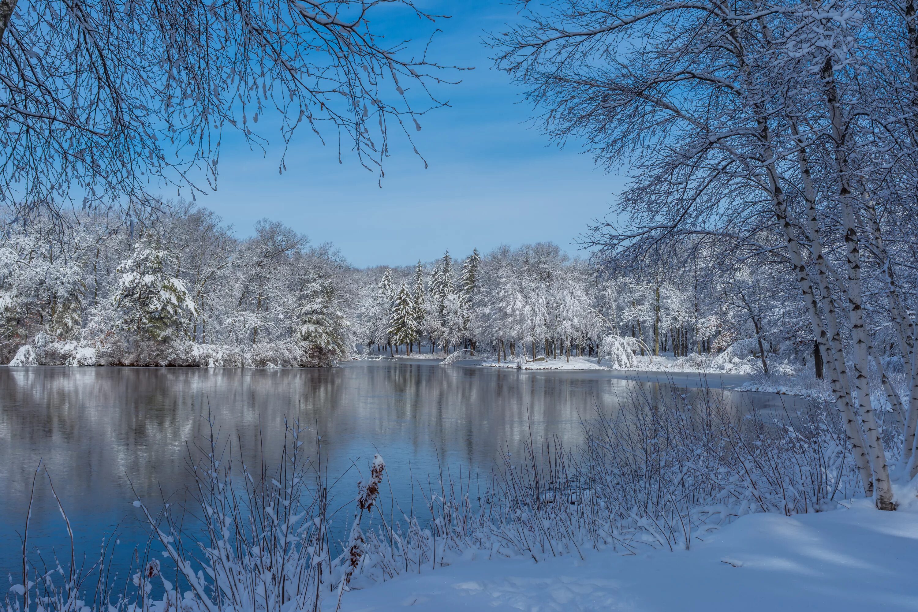 Лед на реке. Пруд зимой. Пруд зимой. Пруд снежный. Зима водоем.