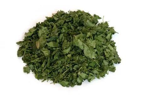 Листья крапивы сырье