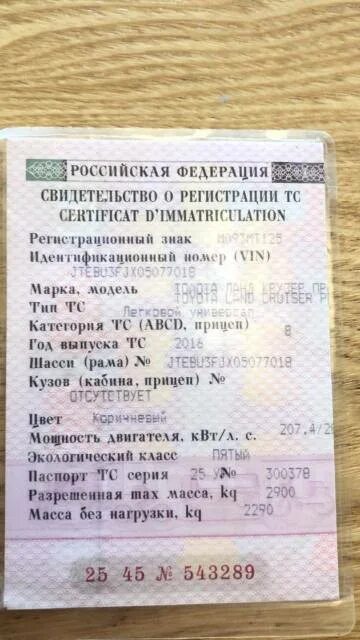 Найти сор. Печать сор 1991 года. информация о сор бсб. найденный сор изображение. лучшие сорта сор дизель.