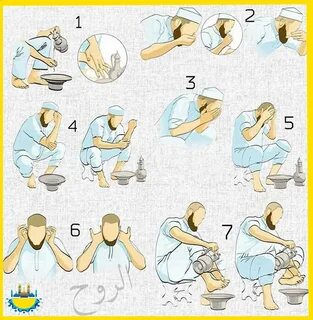 Жастардың трахаеттік порнофотосуреттері