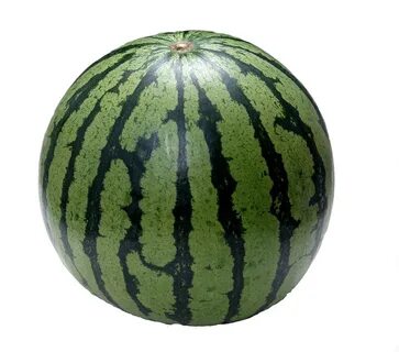 Дыня мем