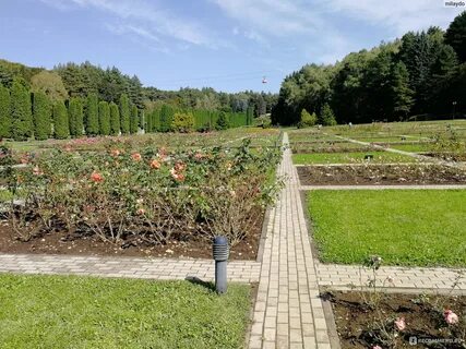 Долина рос