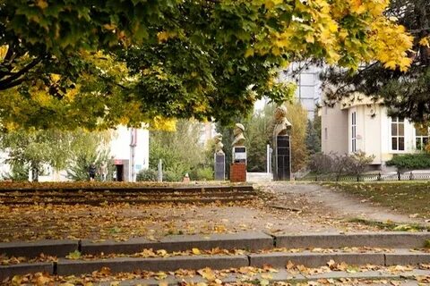 Нова нова луганск