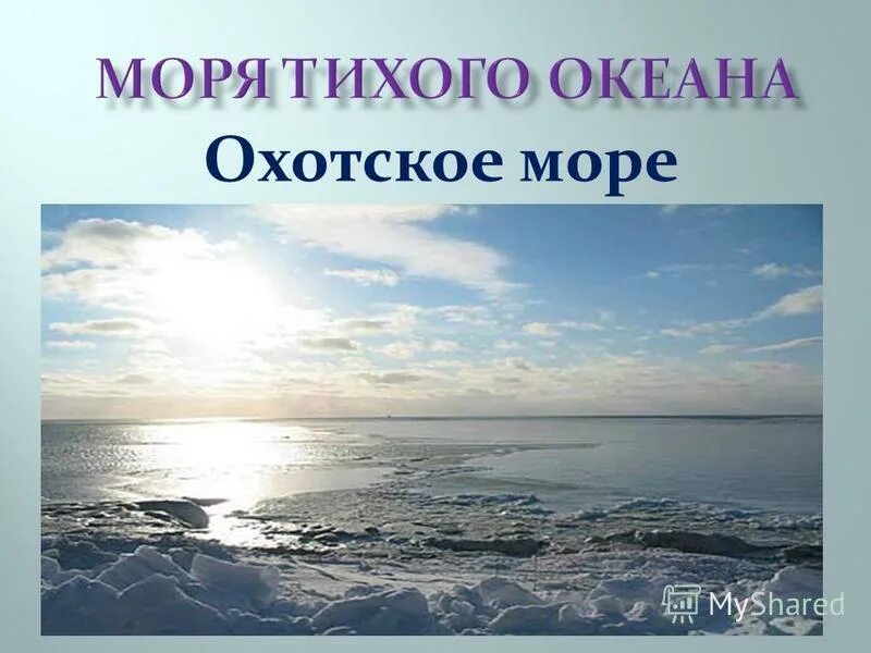 Особенности океанов россии. Моря России. Моря Тихого океана. Море для презентации. Моря России презентация.