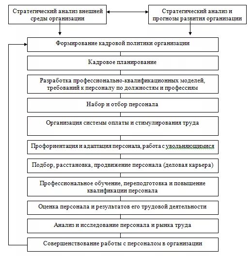 Планирование системы управления персоналом. Место кадрового планирования в системе управления персоналом. задачи кадрового планирования в организации. цели кадрового планирования в организации. функции кадрового планирования в системе управления.