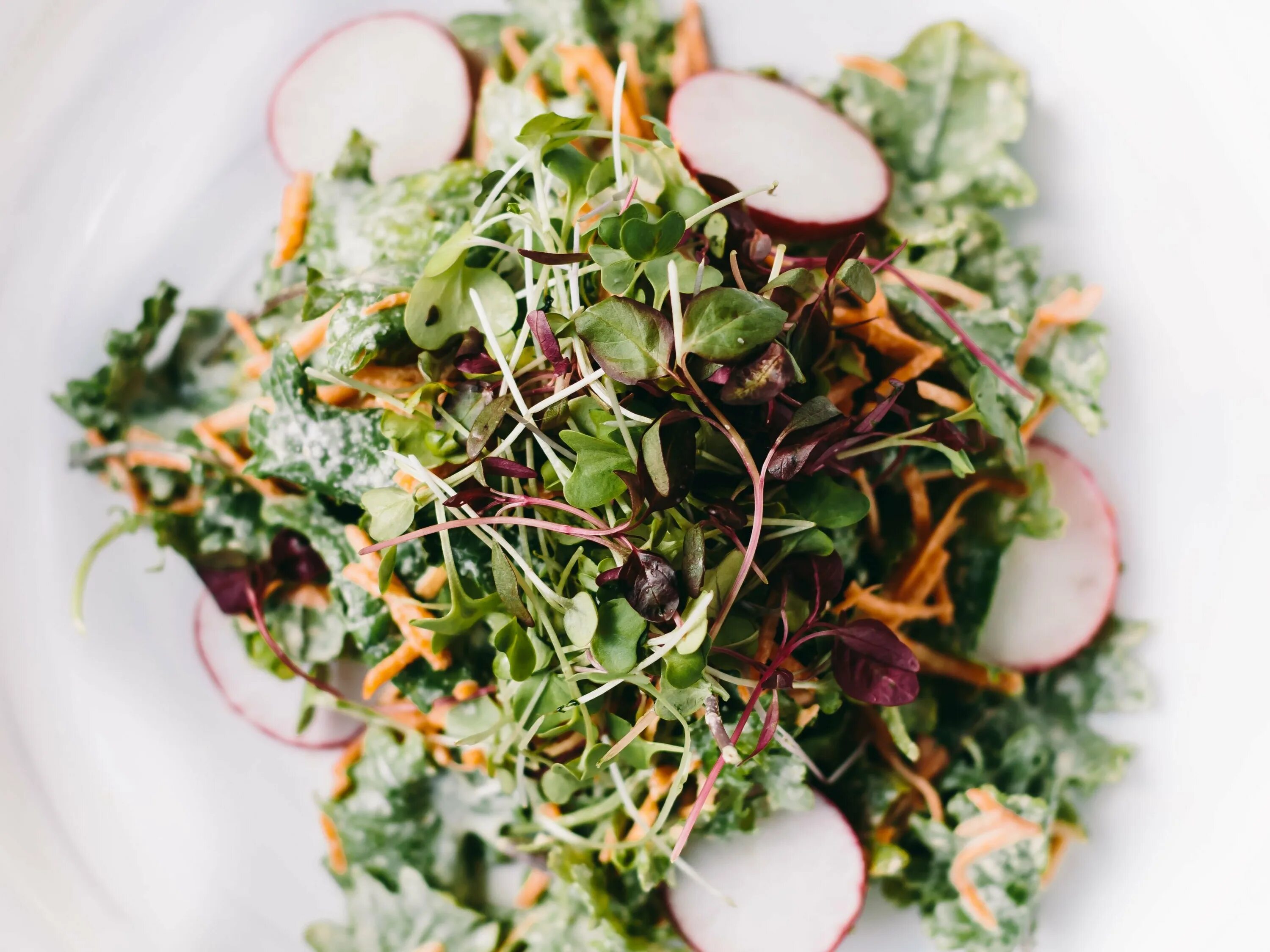 Горох мадрас микрозелень. Микрозелень дайкон. Микрозелень клевер. Руккола микрозелень. Салат из микрозелени.