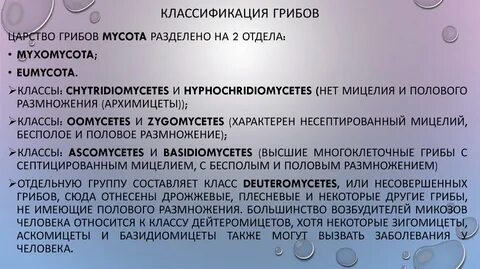 Микология систематика