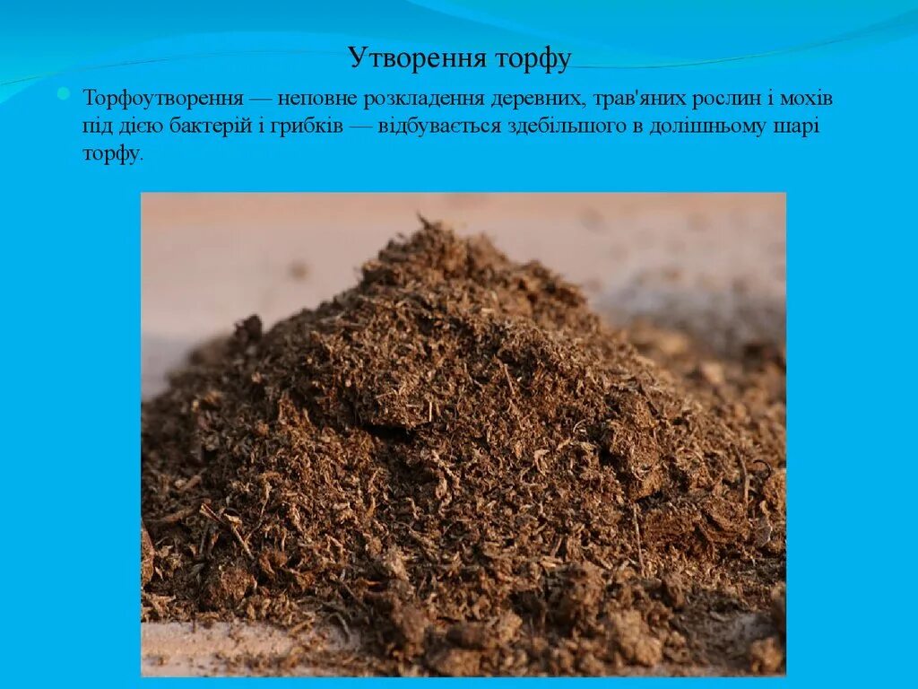 Для чего нужен торф. Торф. торф перегной. торф в природе. поверхностный торф.