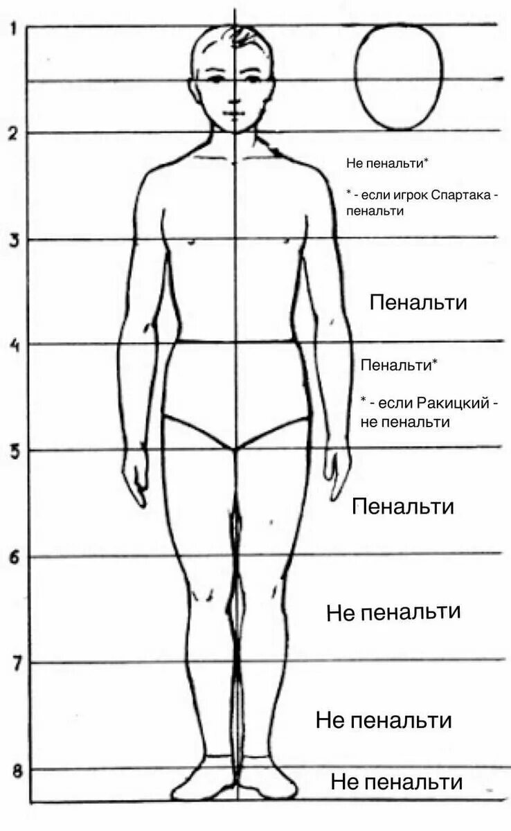 Рисунок пропорции человека 6 класс. Пропорции фигуры человека. Пропорции тела человека для рисования. Изображение человека схематично.