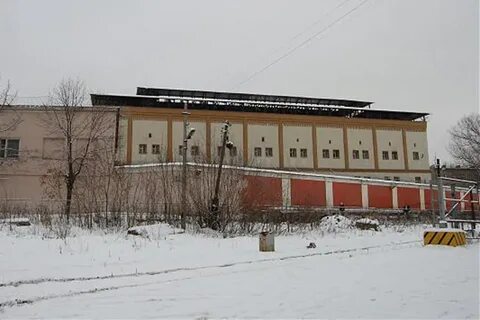 Красная сизо