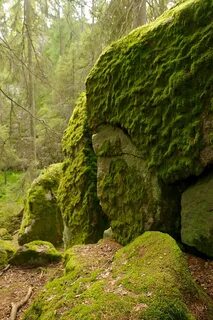 Moss rocks