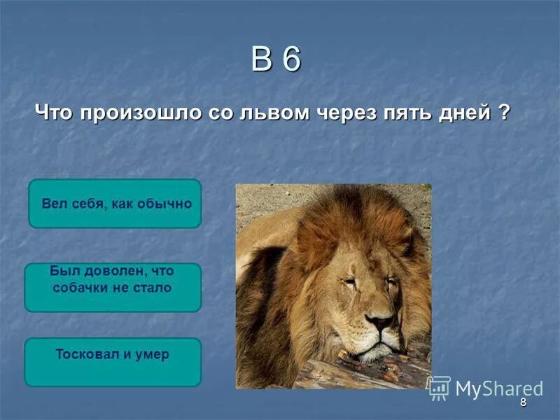 Книга лев и собачка толстой. Основная мысль к рассказе лев и собачка. Лев и собака рассказ. Лев николаевич толстой рассказ лев и собака. Лев и собачка год издания книги.