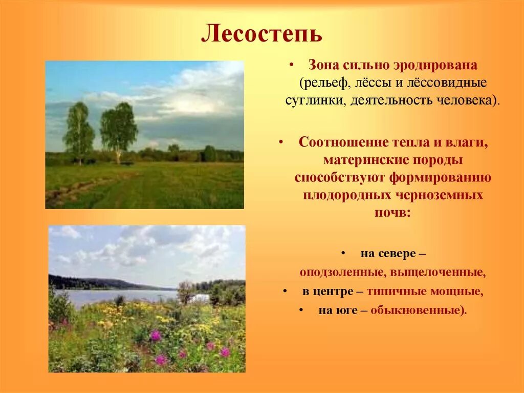 Лесостепь россии урок. Климат степей и лесостепей в России. Зона лесостепи. Климат лесостепи. Природный комплекс лесостепи.