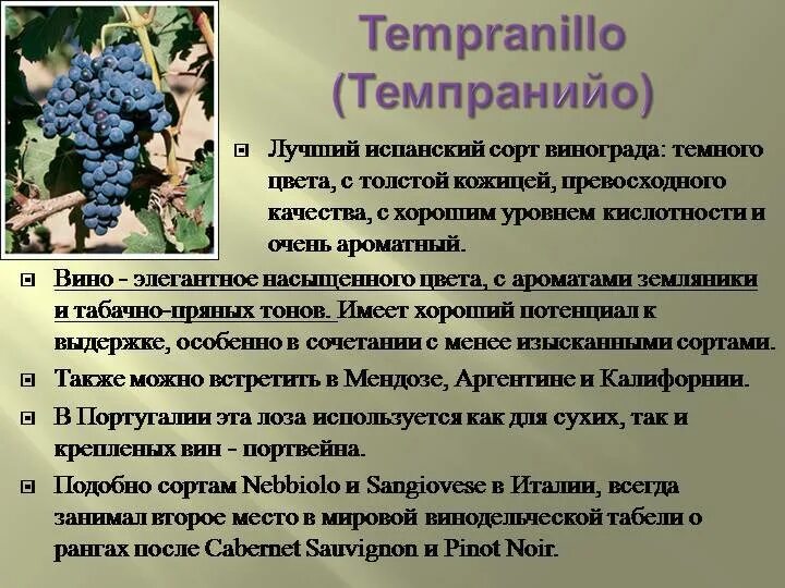 Темпранильо сорт винограда. Сорт винограда Темпранильо Испания. Темпранильо сорт винограда описание. Сортовые характеристики винограда.