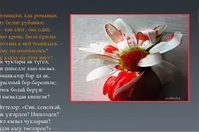 Стих мусы джалиля красная ромашка