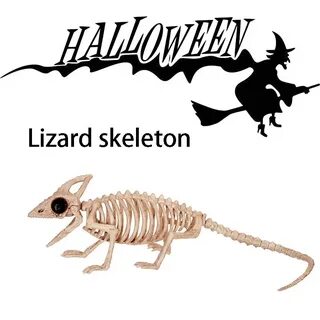 Скелет ящерицы