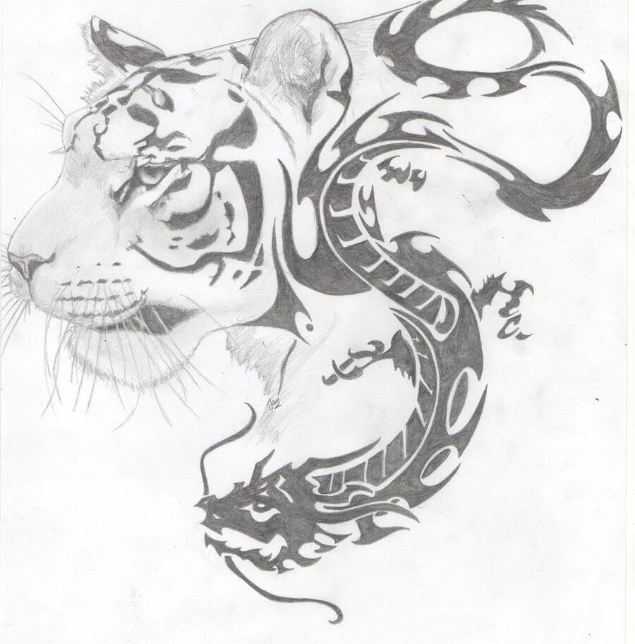 Мужчина змея и тигр. Тату дракон и тигр. Тигр эскиз. Тату тигра эскизы. Тигрица тату эскиз.